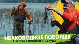 Мелководное побоище