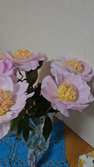 Нежнятинка...... смотреть онлайн