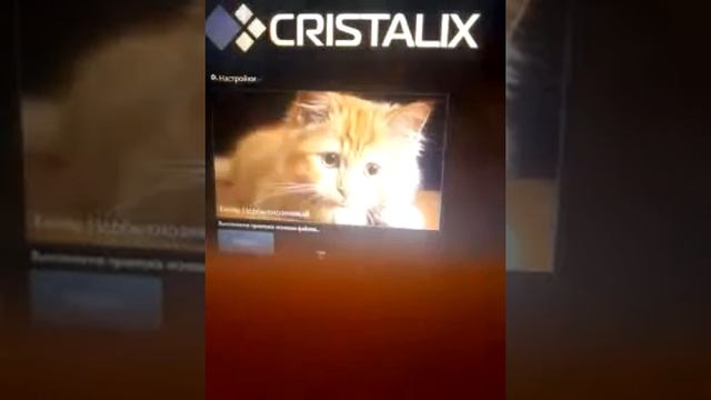 Как скачать текстур пак на кристаликс легко и просто смотреть онлайн