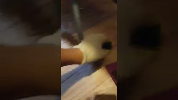 ВЗОРВАЛСЯ ИНФРАКРАСНЫЙ ОБОГРЕВАТЕЛЬ ПИОН THERMO GLASS