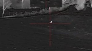 Битва с кабаном в ночи: тепловизор, три выстрела и меткий финал на 220 метров