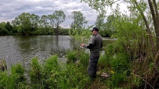 Летняя рыбалка на КАРАСЯ: Секреты ловли на поплавок, которые работают всегда! смотреть онлайн