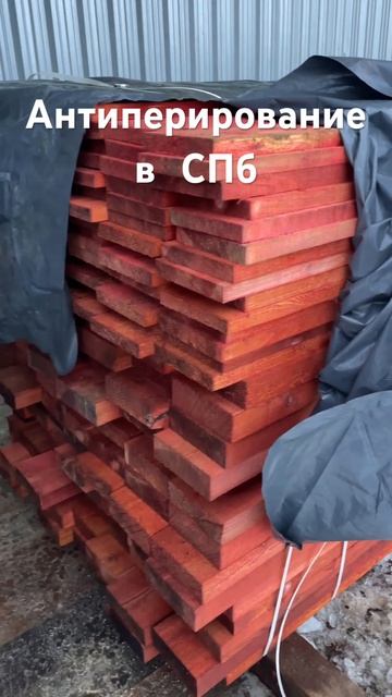 Антисептирование в СПб 8 951 677 15 83 смотреть онлайн