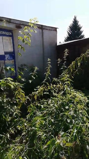 Объявления разных эпох смотреть онлайн