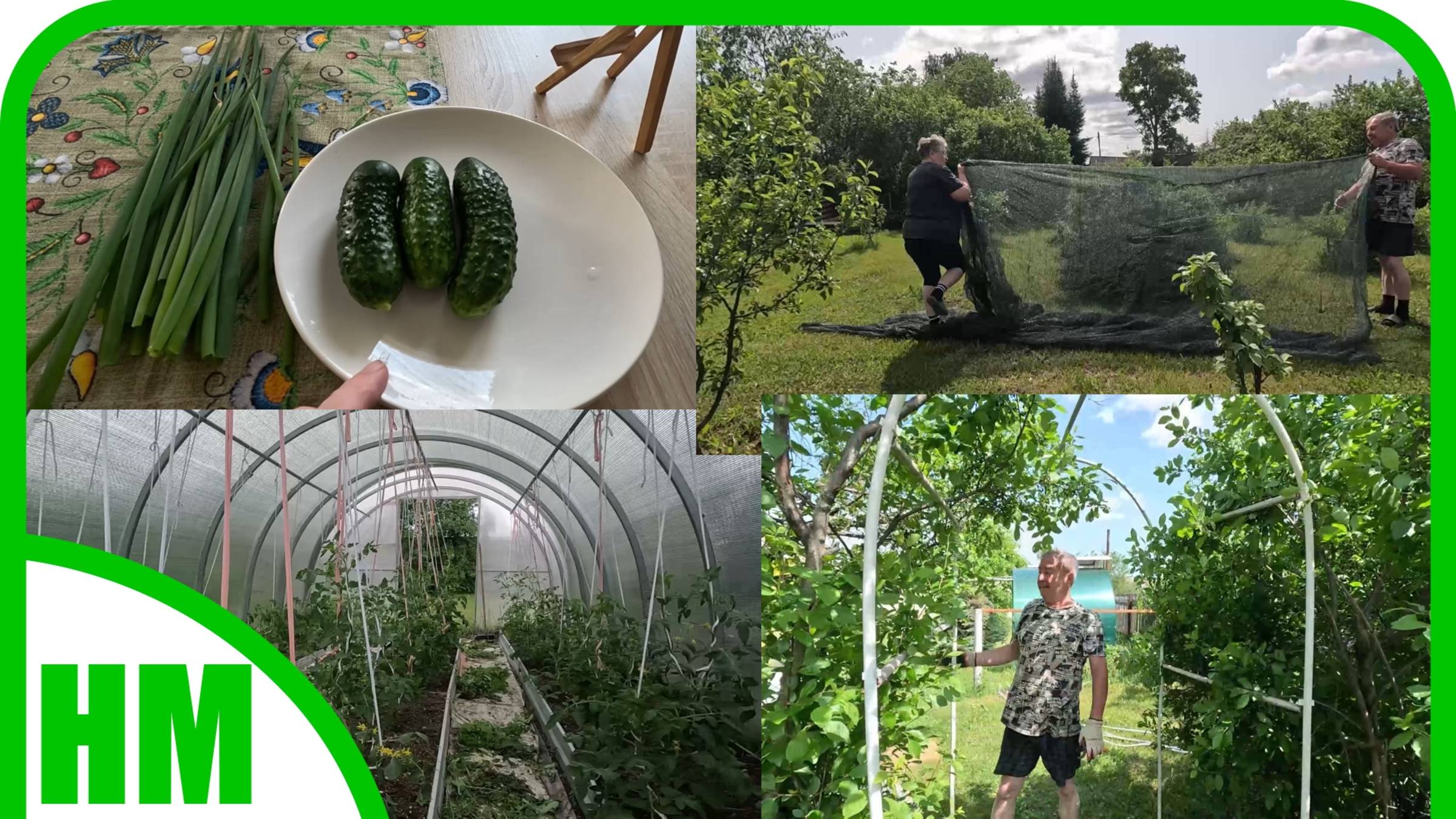 3 июня. Дела огородные. Как растёт на этот день. смотреть онлайн