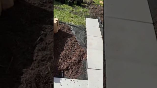 🇺🇸Американец и его огород у входа в дом !Нет слов уст смотреть онлайн