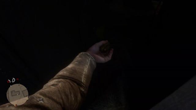 Red Dead Redemption 2 проверка записи