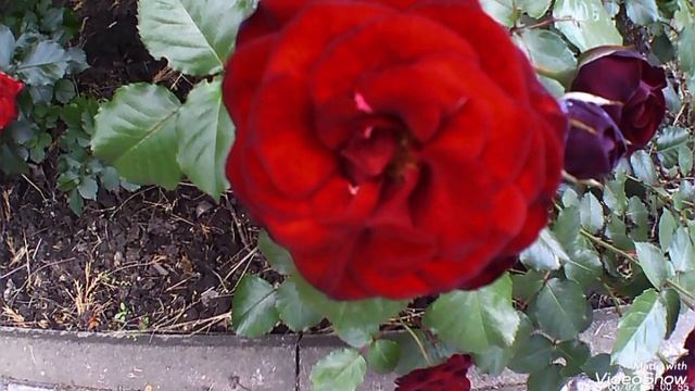 Мариуполь ⛵ немного красоты смотреть онлайн