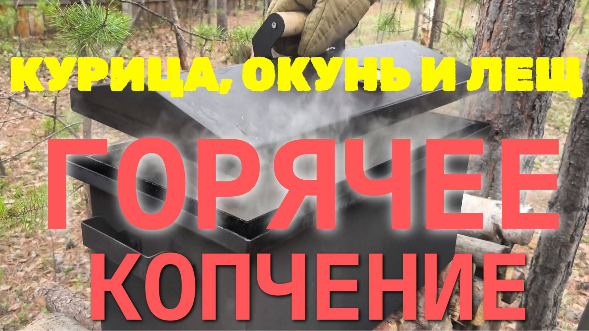 ЛЕЩ, КУРИЦА И ОКУНЬ ГОРЯЧЕГО КОПЧЕНИЯ! Коптим на ОЛЬХЕ горячим способом! ВКУСНО, КРАСИВО, УНИВЕРСАЛ