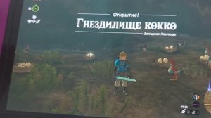 как пройти задание в вслед за коко totk