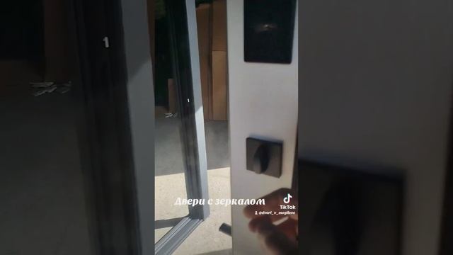 Металлические двери с зеркалом #металлическаядверь #в смотреть онлайн