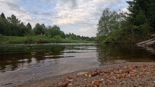 Всем хорошего дня смотреть онлайн