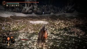 Elden Ring. Маления через веру (я казуал)