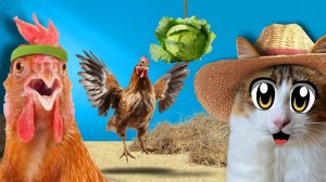 🐾 КОТЫ ПРАНКЕРЫ 80 LVL! Курицы в шоке, змеи в деле, капуста летает! 😹🎬