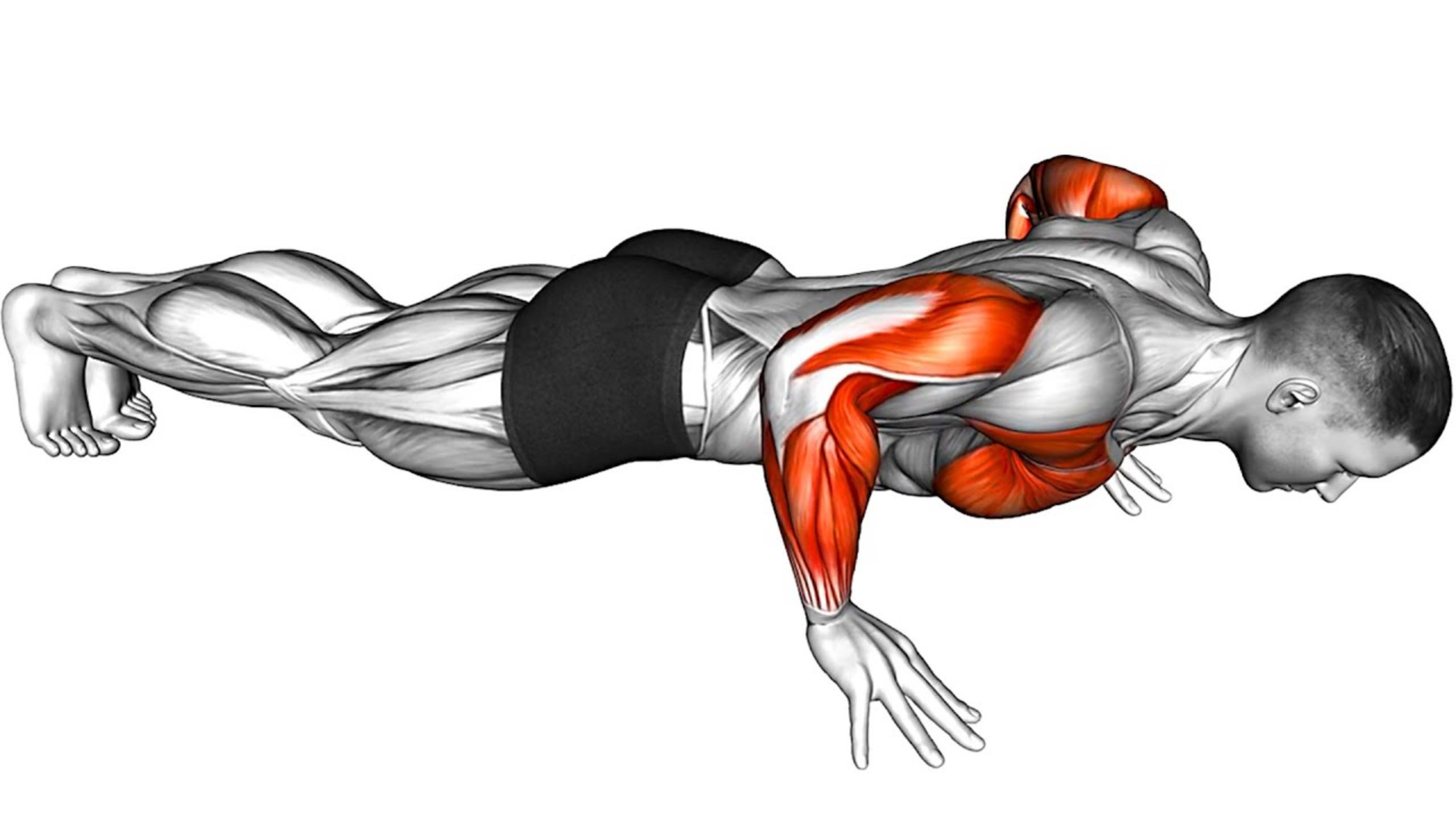 Варианты ОТЖИМАНИЙ от Простого к Сложному смотреть онлайн