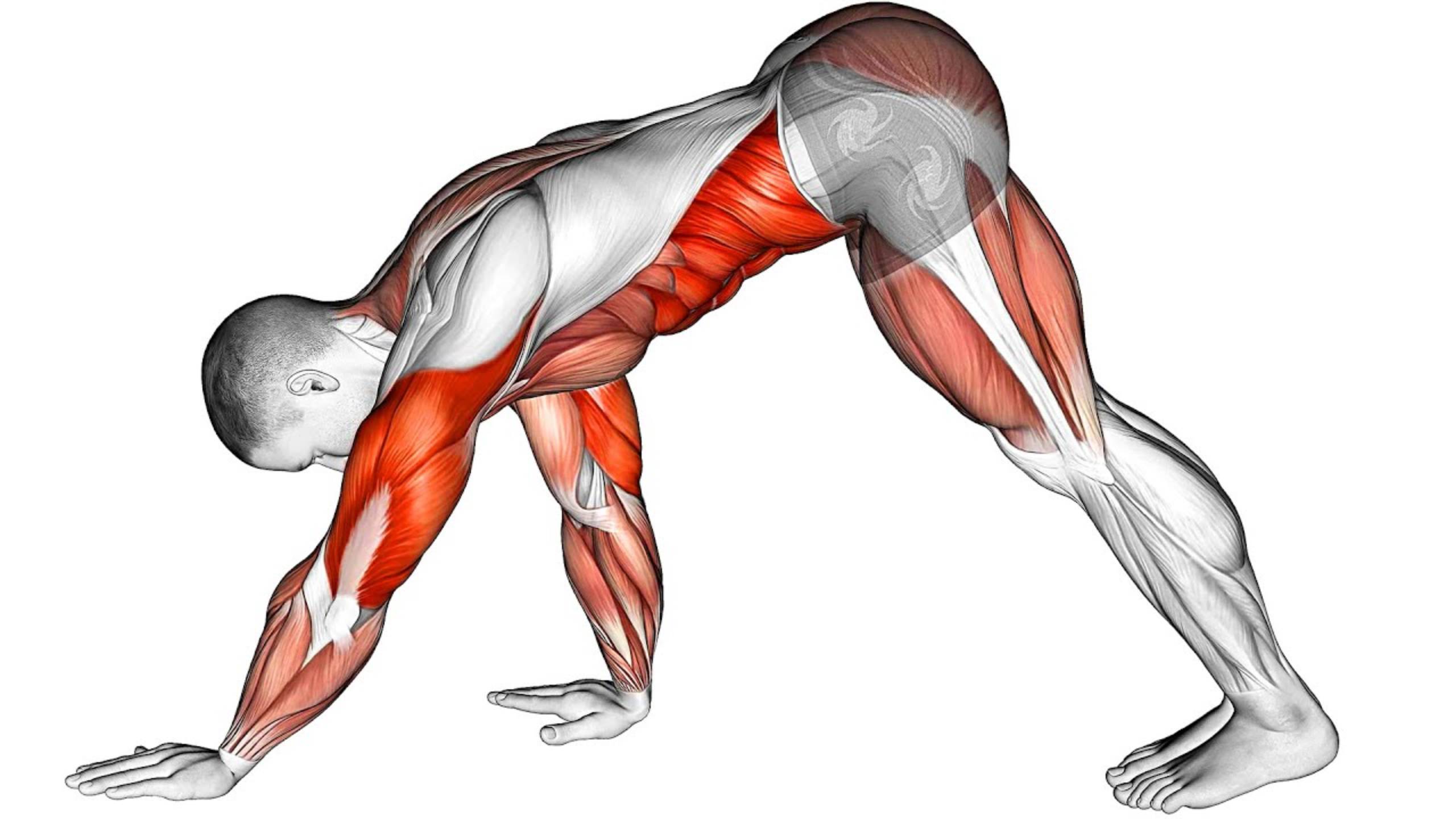 Тренировка всего ТЕЛА с собственным весом смотреть онлайн