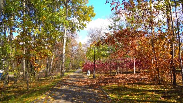 Осень - Влад Фельдман