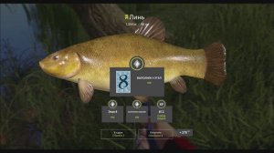 Линь на озере Медвежье, выполнение юбилейного задания в игре Русская Рыбалка 4