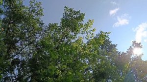 МНЕ ПОМОЖЕТ ВЕСНА!