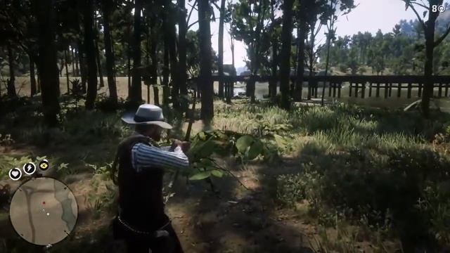 Red Dead Redemption 2 Вдова