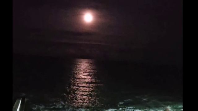 В ожидании чуда 1