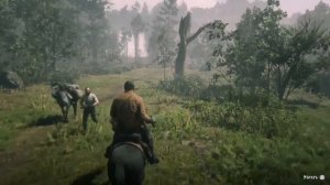 КАК НАЙТИ НУЖНОГО ВАМ ЛОСЯ В RED DEAD REDEMPTION 2