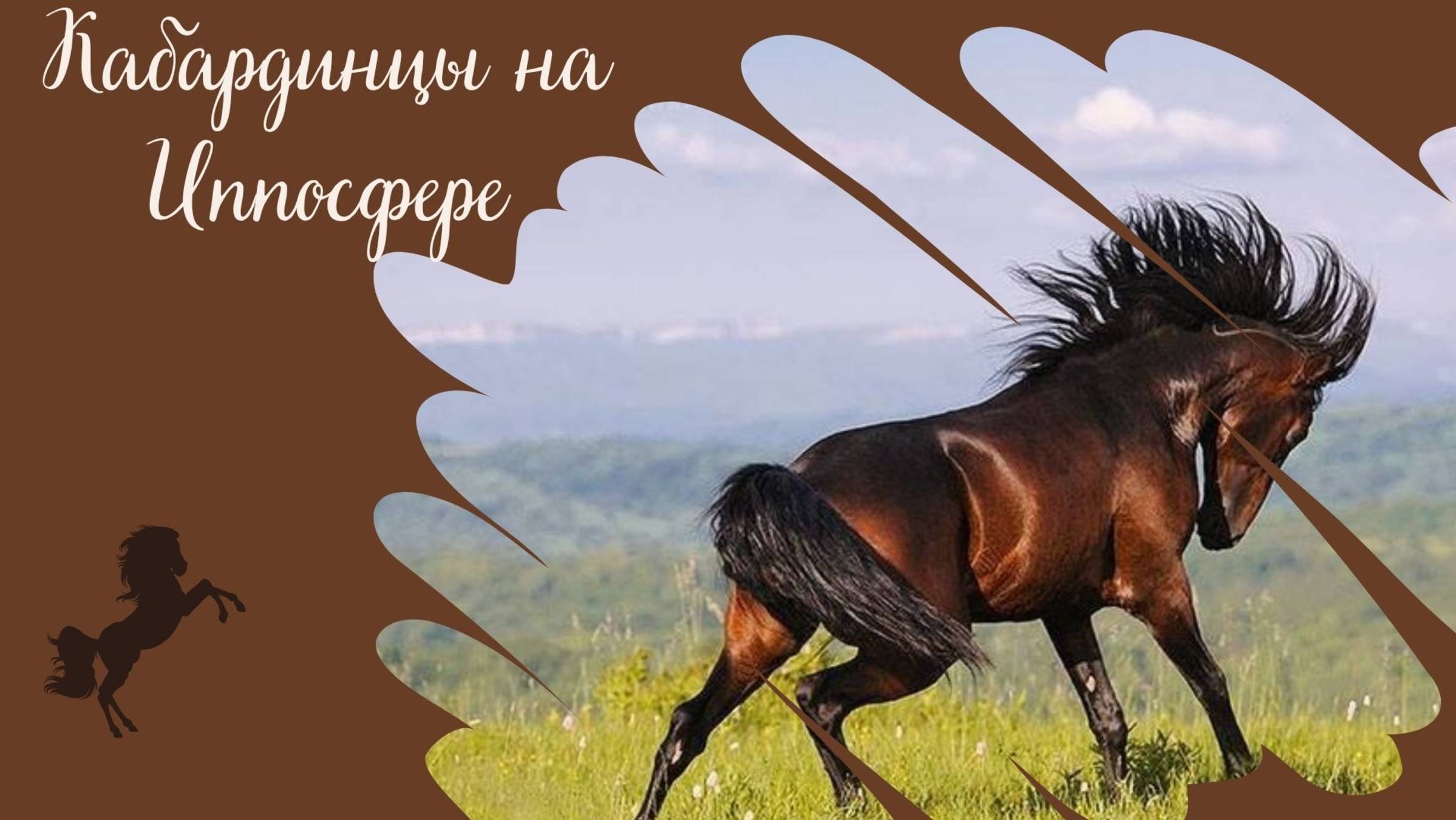 Породный ринг 