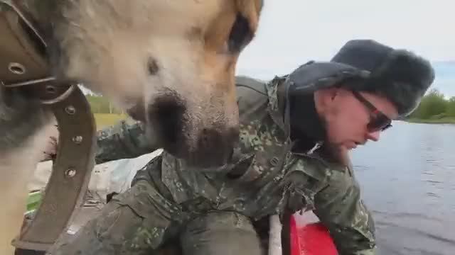 ПОПАЛ НА УТРЕШНИЙ КЛЁВ. НЕОБИТАЕМЫЙ ОСТРОВ НА ДИКОЙ РЕКЕ. ВЫЖИВАЕМ С СОБАКОЙ В ДИКОЙ ПРИРОДЕ. смотреть онлайн