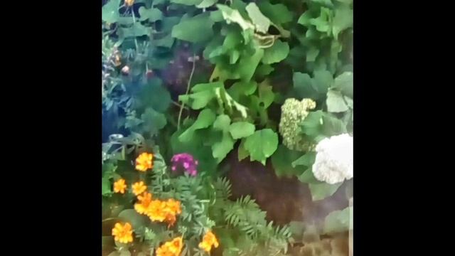 Красота_страшная сила!.mp4 смотреть онлайн