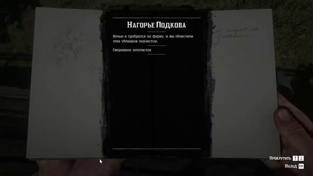Red Dead Redemption 2 прохождение #19