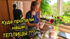КУДА ПРОПАЛИ НАШИ ТЕПЛИЦЫ | КУПИЛИ ДОМ В ДЕРЕВНЕ | Деревенские будни | Дом в деревне