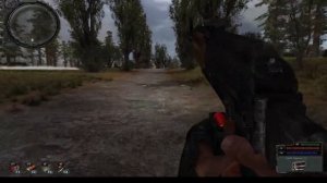 ПРОХОЖДЕНИЕ S T A L K E R    Народная Солянка + DMX 1 3 5 + ООП МА ?