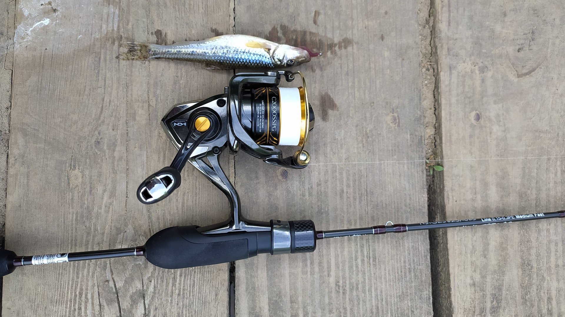 МОРМЫШИНГ. Тропарево, утренняя разведка