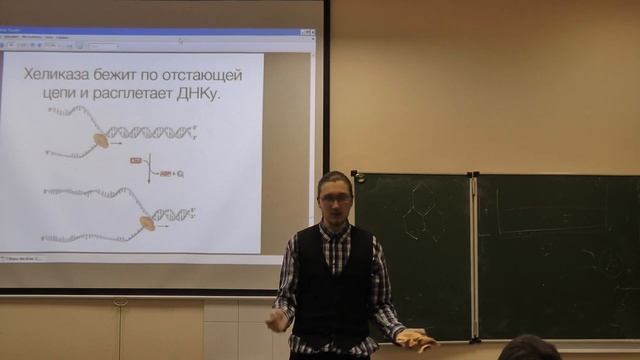 Молекулярная биология. Лекция 5. Никитин Д. М. edit смотреть онлайн