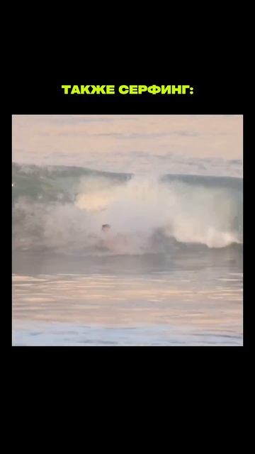 Серфинг - это легко, говорили они...  #surf #surfing
