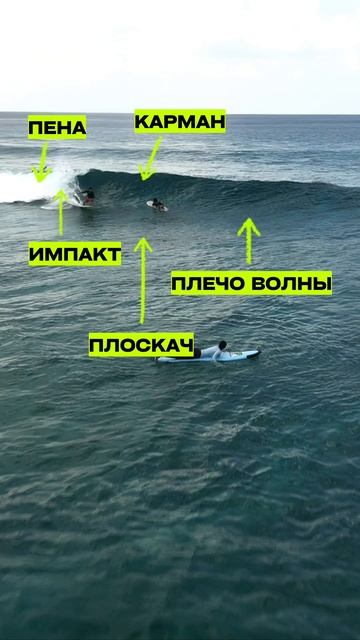 СТРОЕНИЕ ВОЛНЫ | АНАТОМИЯ ВОЛНЫ ДЛЯ СЕРФЕРОВ