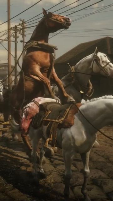 RDR 2: Это всё что нужно знать о лошадях в рдр2 смотреть онлайн