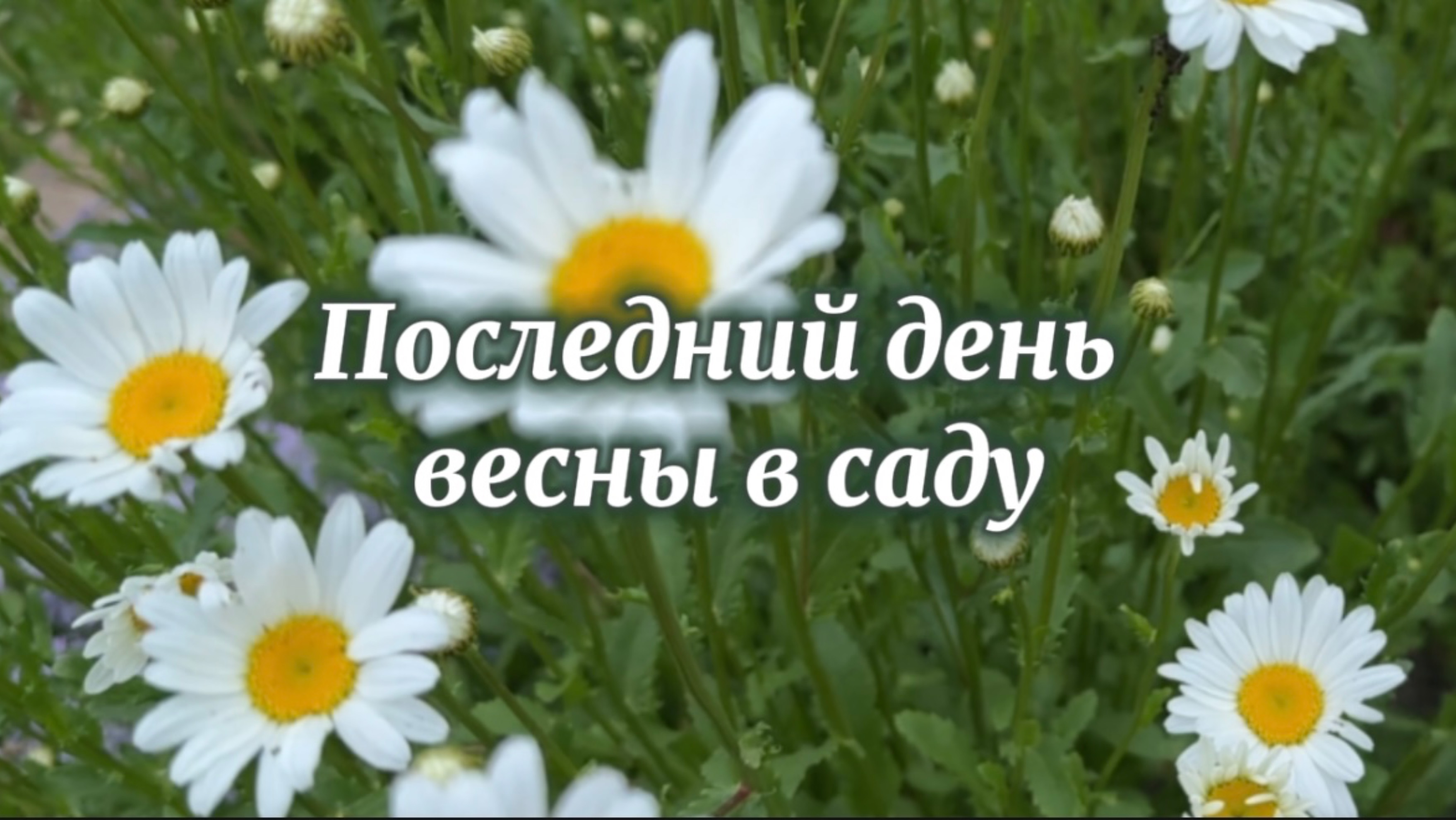 Встречаем лето 🌞