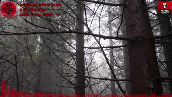 Music Info News 03.06.2025