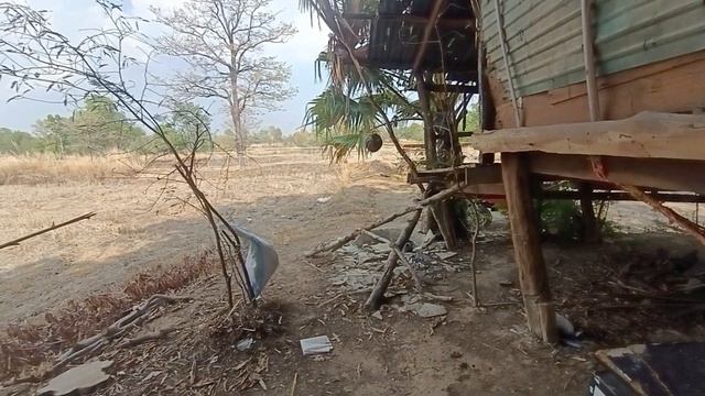 Не получается стать лентяями смотреть онлайн