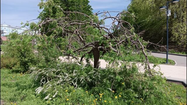 Рязань, Темниково, Москва 2025