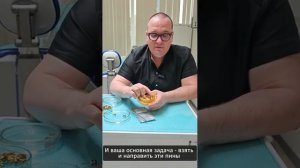 Данилов Александр. Сканбоди Pro