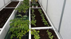 Оригинальное крепление чехла на теплице "Сибирский Аг