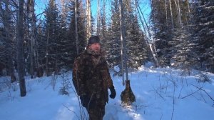 Охота петлями. Ловим зайца силками (2025)