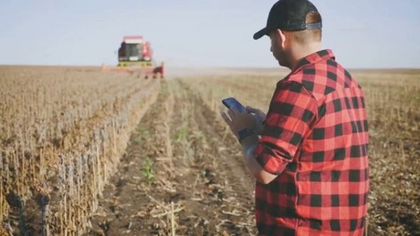 Blockchain’s Food Revolution Farm to Table Trust