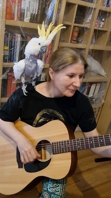 Бобров на всех не хватило. Забрала попугаем смотреть онлайн