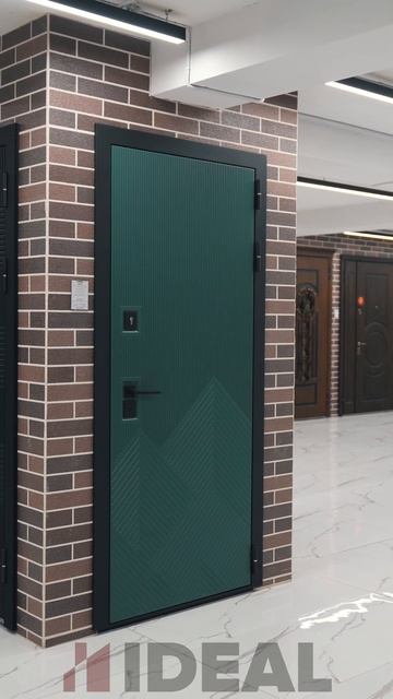 Входная дверь 