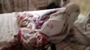 В мире снюсоедов выпуск 1 (русский снюсоед)
