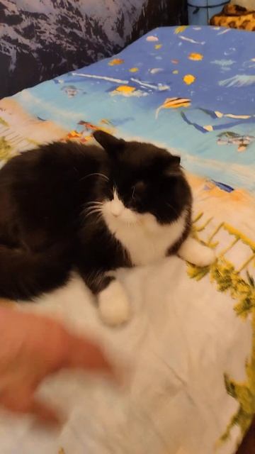 Мура уходим на уголок 20 Января 2024. смотреть онлайн