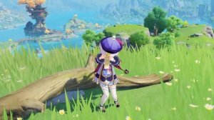 Быстрый и легкий гайд на Чичу/Цици Геншин импакт